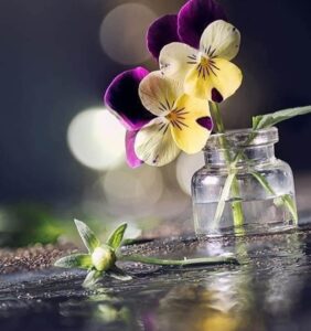 دانلود آهنگ abcdefghi love you با صدای زن